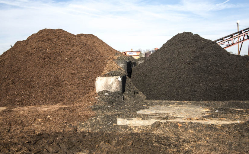 Unleashing the Power of Mulch: Elevating Your Garden